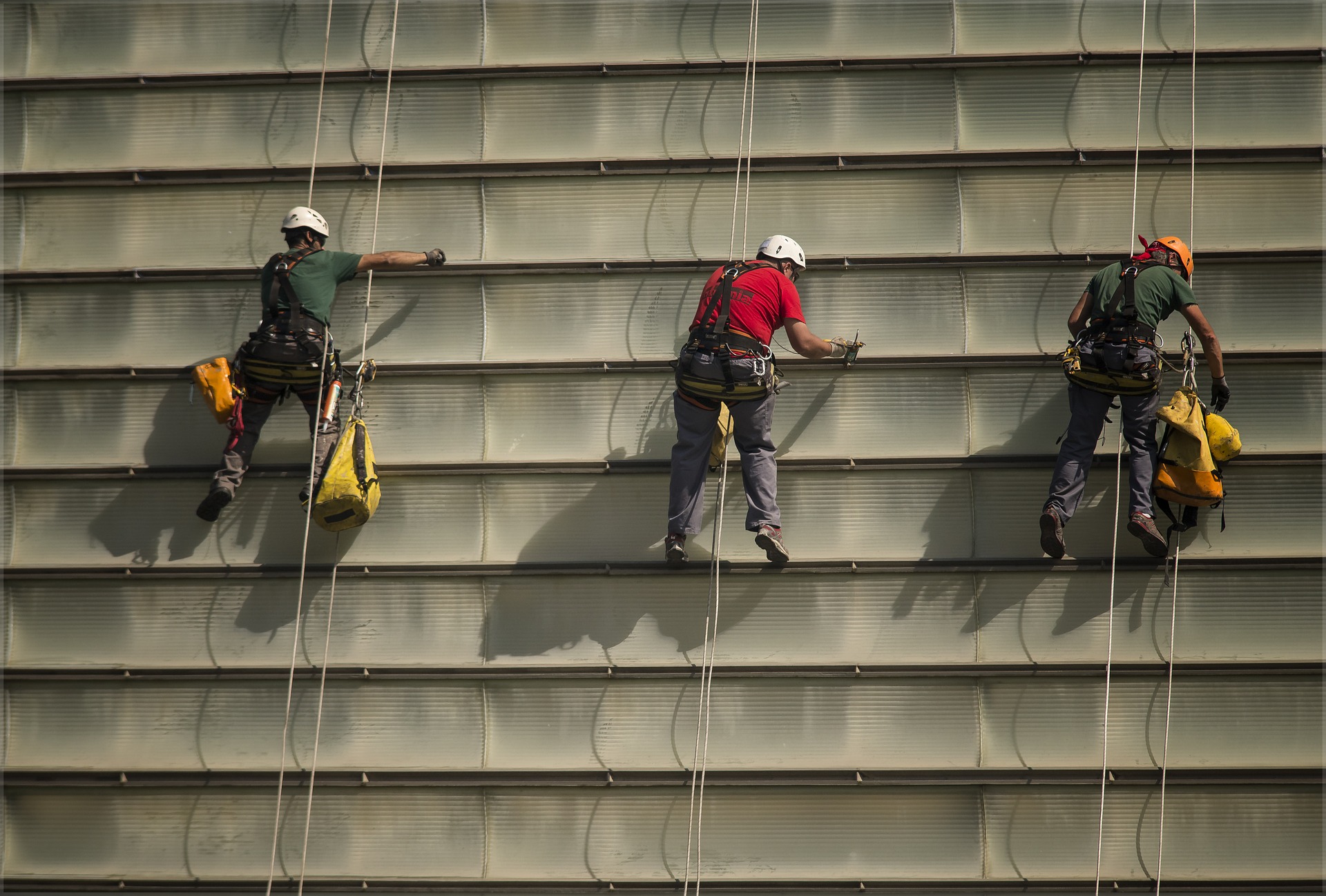 ON LINE! Rappresentante dei Lavoratori per la Sicurezza – R.L.S.